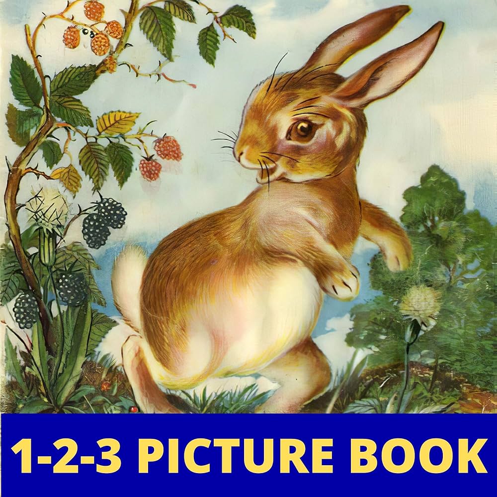 Amazon.com: 1-2-3 PICTURE BOOK: 123 Vintage Picture Book for